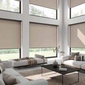 Blackout Roller Windows Blinds