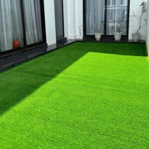Grass Carpet Turf Grass