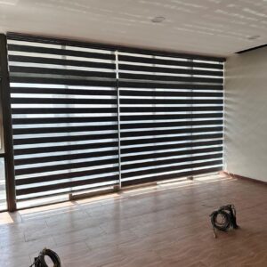 Zebra Windows Blinds